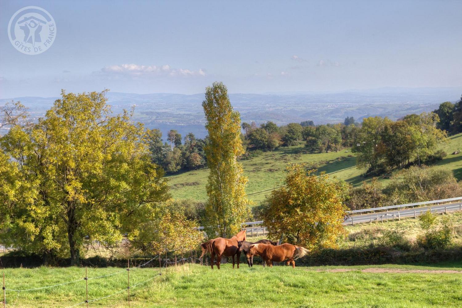 La Ferme Des Galoches Bed & Breakfast Villemontais Bagian luar foto